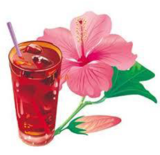 Hibiscus flower and drink